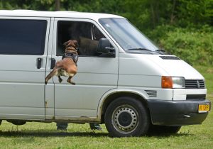 Foto:Tomislav Brandt