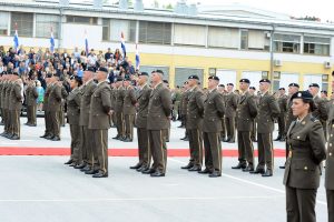 Foto: M. Čobanović